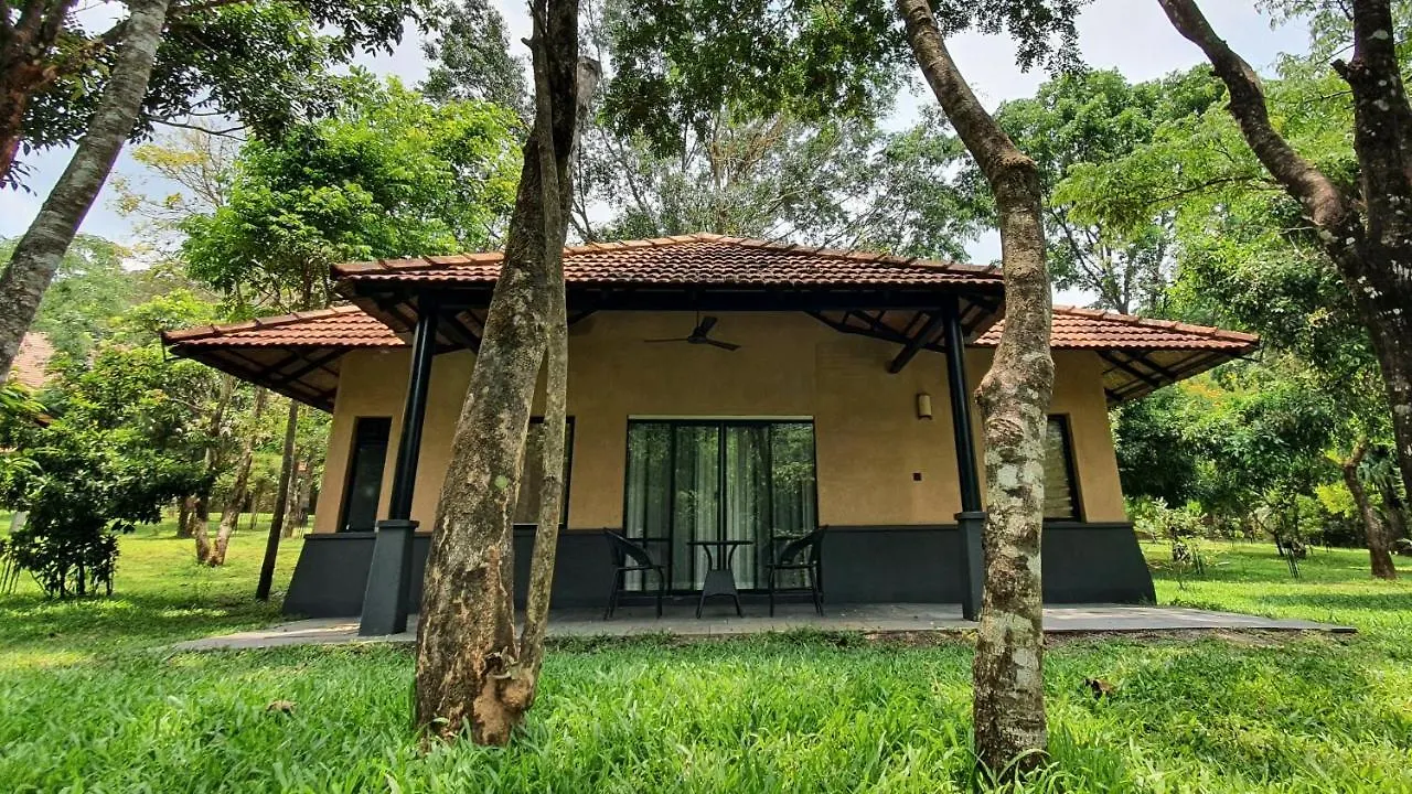 ****  Klov Resort & Spa Wayanad India